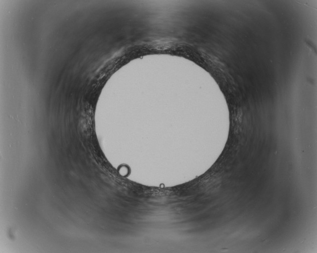 X0000103971349200809191348