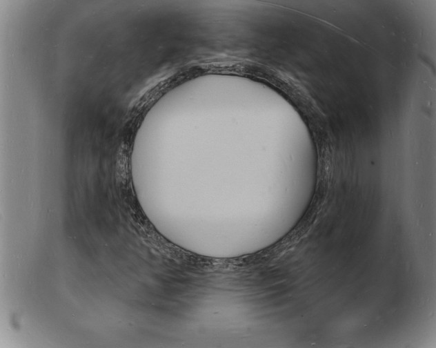 X0000103971350200809191348