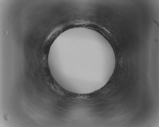 X0000103971351200809191348