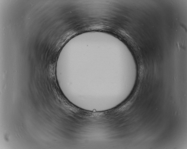X0000103971353200809191348