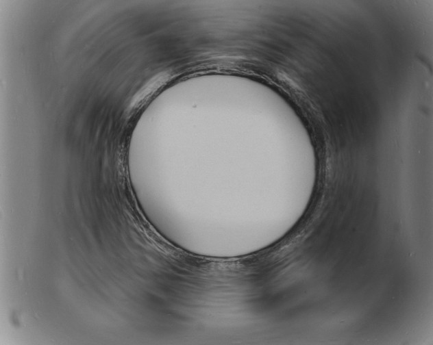X0000103971354200809191348