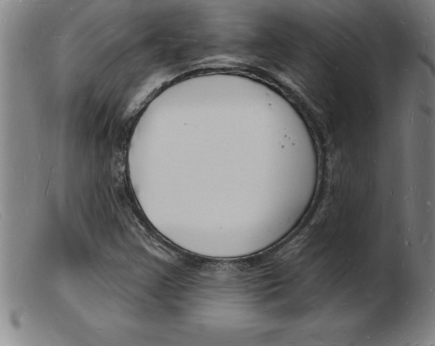 X0000103971355200809191348