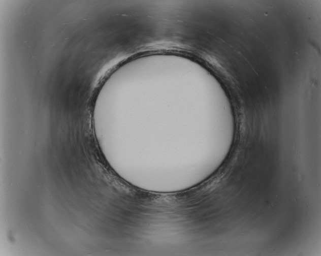 X0000103971358200809191348