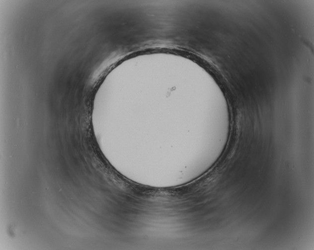 X0000103971359200809191348