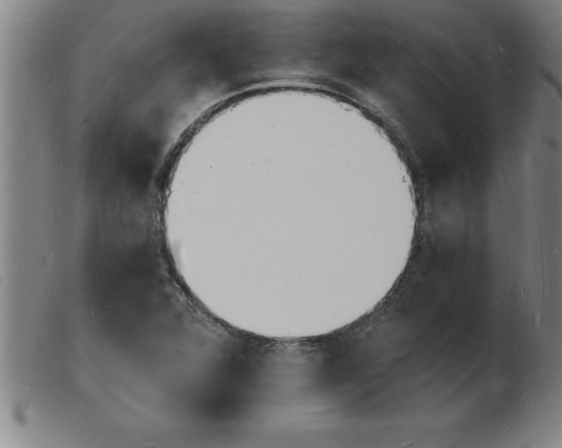 X0000103971360200809191348