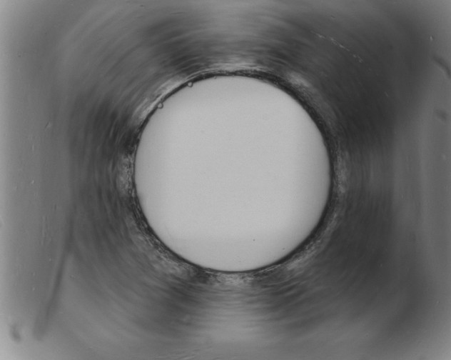 X0000103971361200809191348