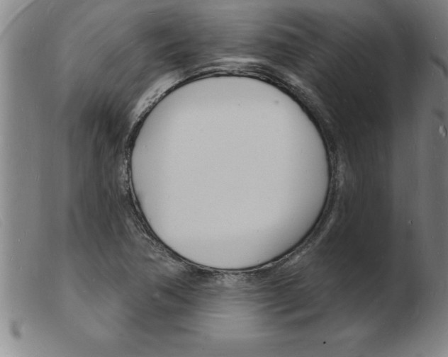X0000103971362200809191348