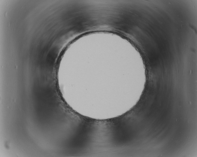 X0000103971364200809191348