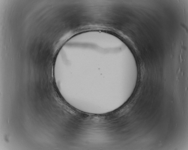 X0000103971365200809191348