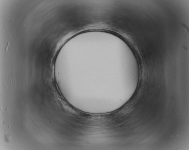 X0000103971366200809191348