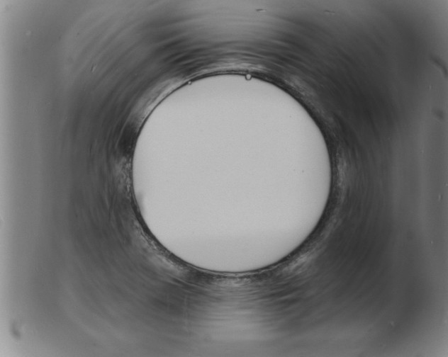 X0000103971369200809191348