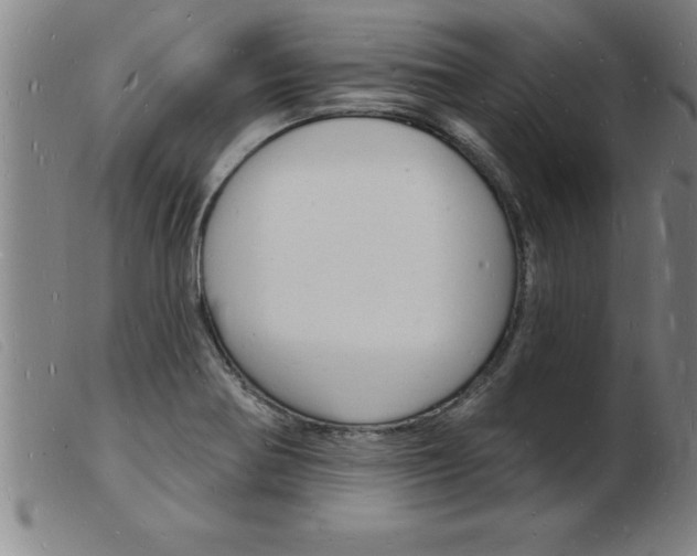 X0000103971370200809191348