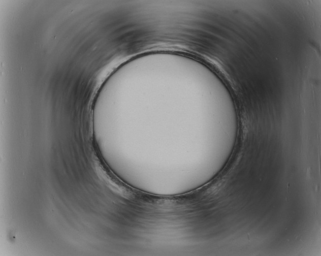 X0000103971371200809191348