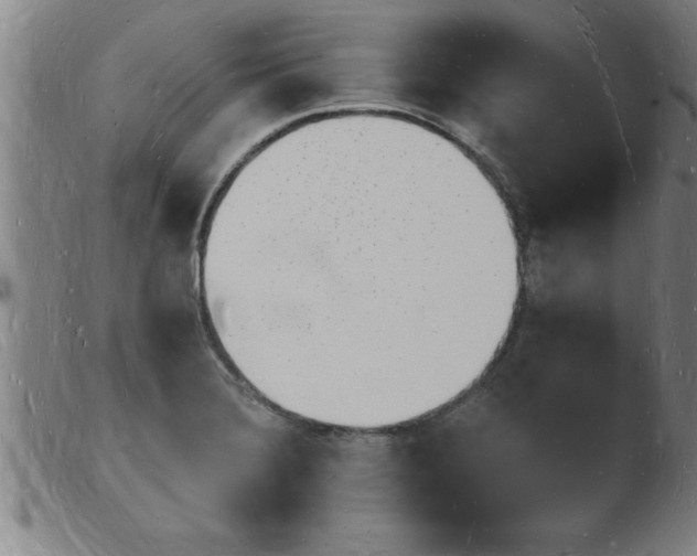 X0000103971372200809191348