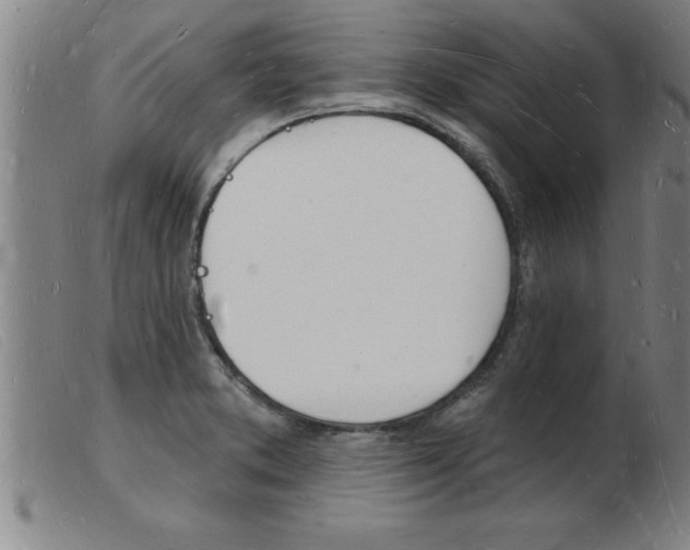 X0000103971373200809191348