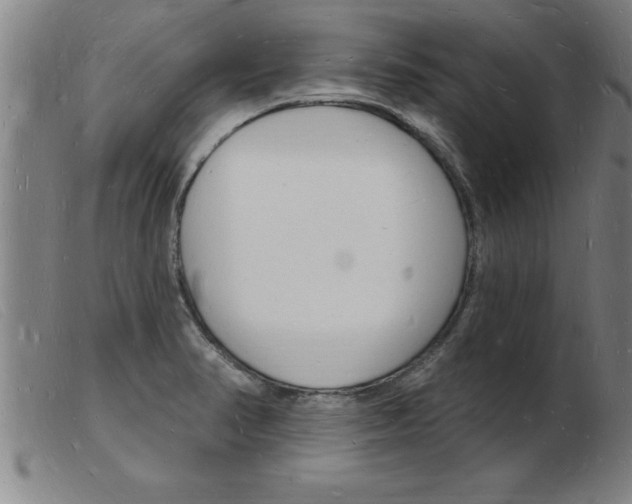 X0000103971374200809191348