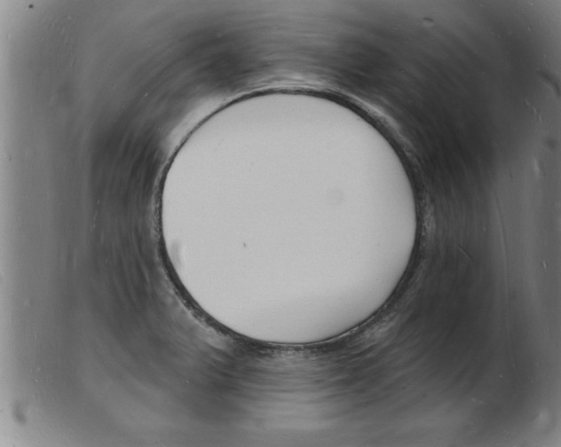X0000103971375200809191348