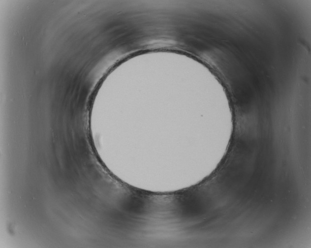 X0000103971376200809191348