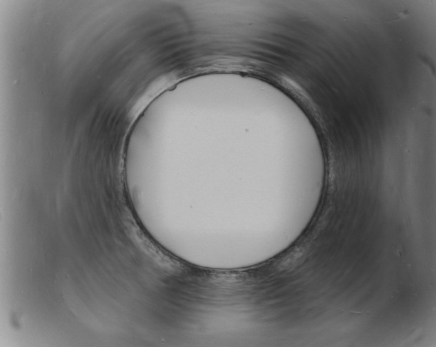 X0000103971378200809191348