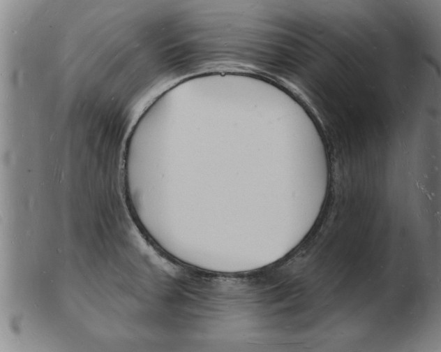 X0000103971379200809191348