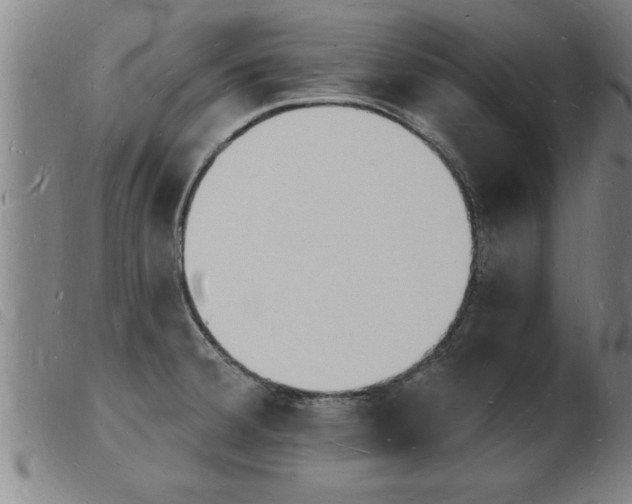 X0000103971380200809191348