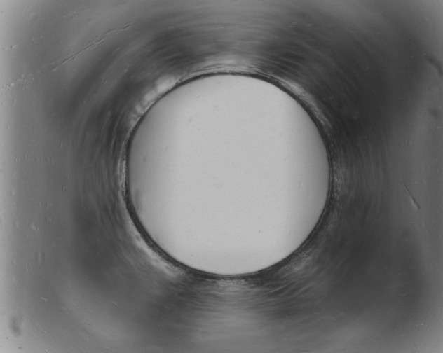 X0000103971383200809191348