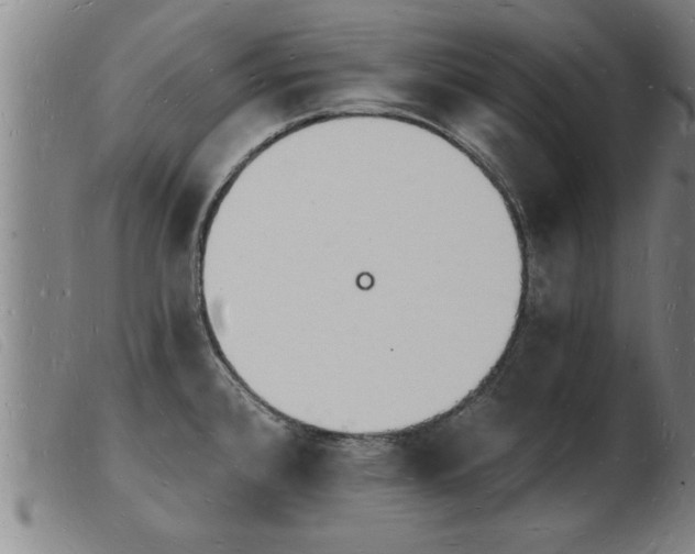 X0000103971384200809191348