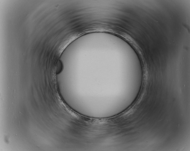 X0000103971385200809191348
