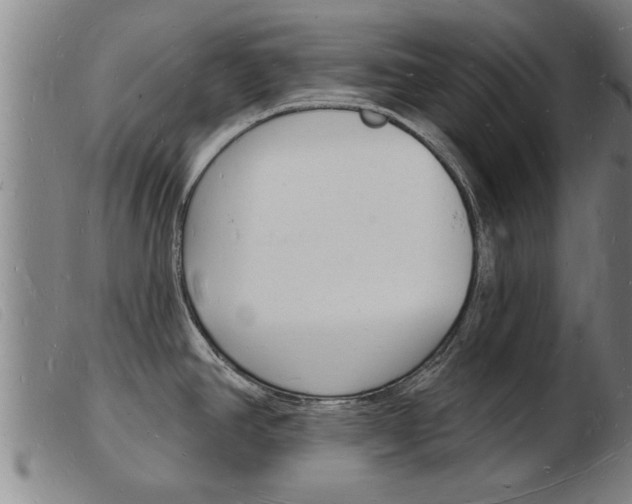 X0000103971390200809191348