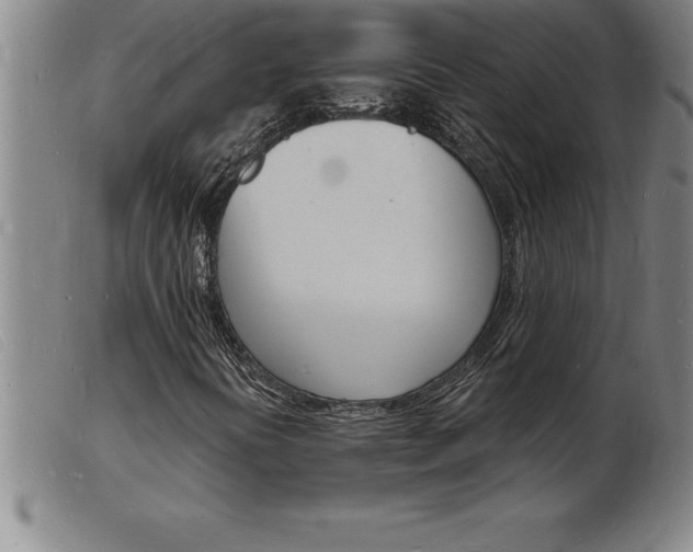 X0000103971394200809191347