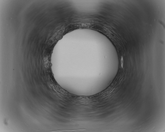 X0000103971395200809191347
