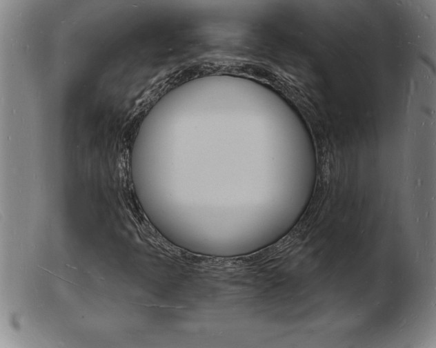 X0000103971397200809191347