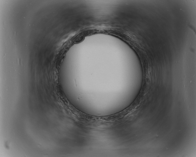X0000103971398200809191347
