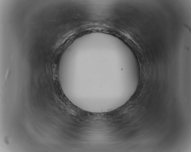 X0000103971399200809191347
