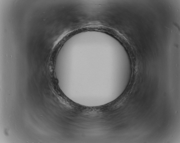 X0000103971400200809191347