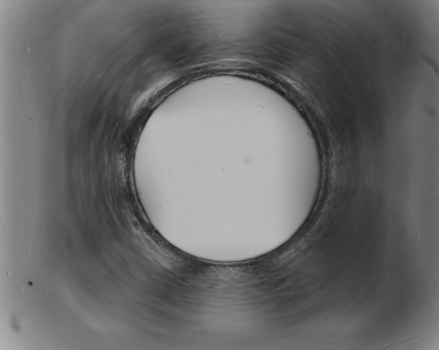 X0000103971402200809191347