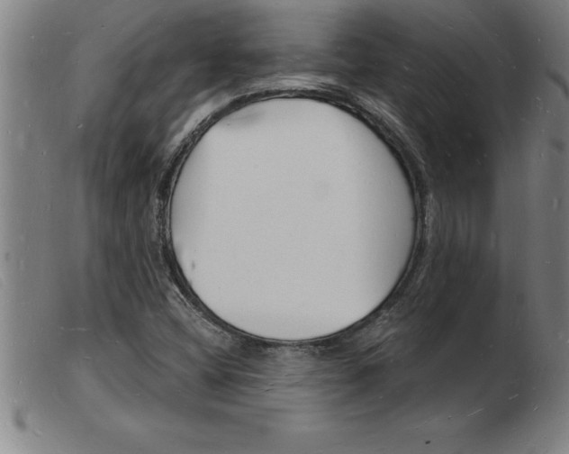 X0000103971404200809191347