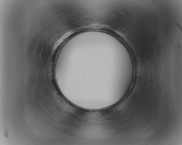 X0000103971410200809191347