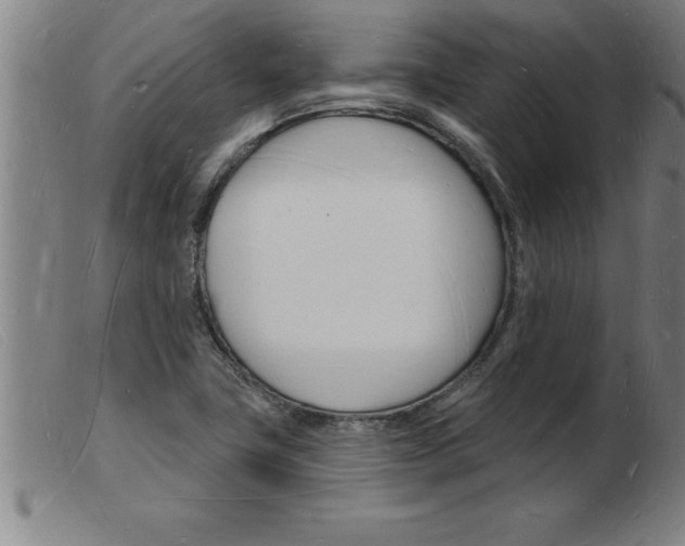 X0000103971411200809191347