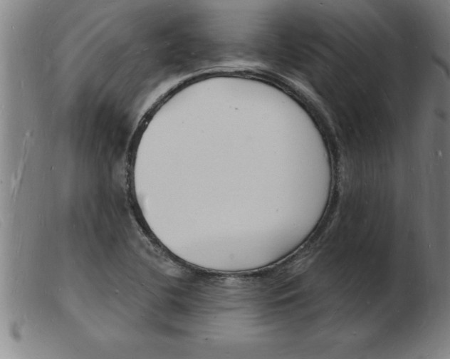 X0000103971412200809191347