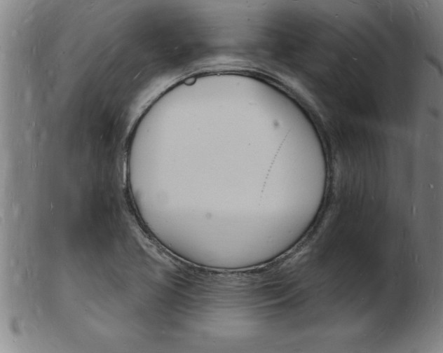 X0000103971413200809191347