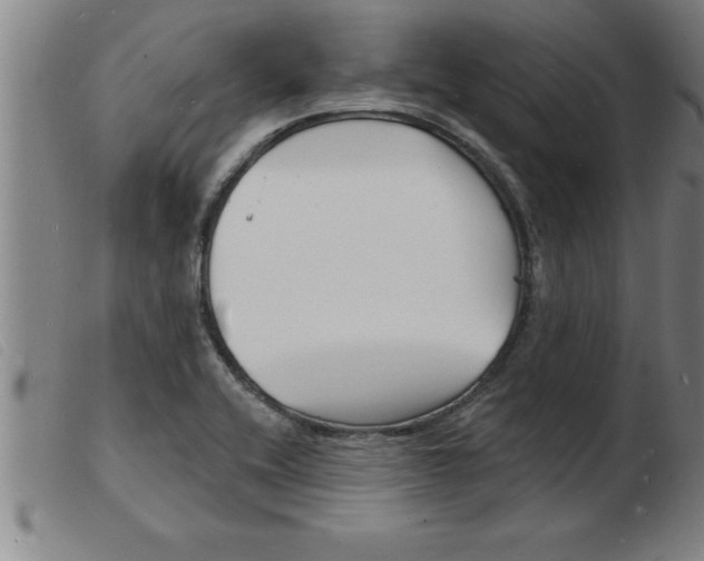 X0000103971416200809191347
