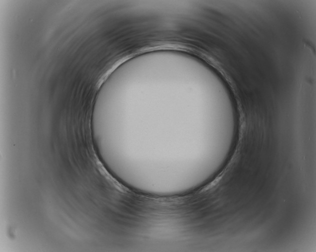 X0000103971417200809191347