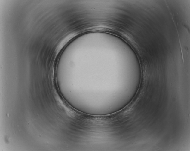 X0000103971418200809191347