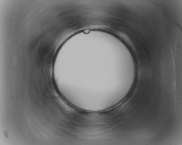 X0000103971420200809191347