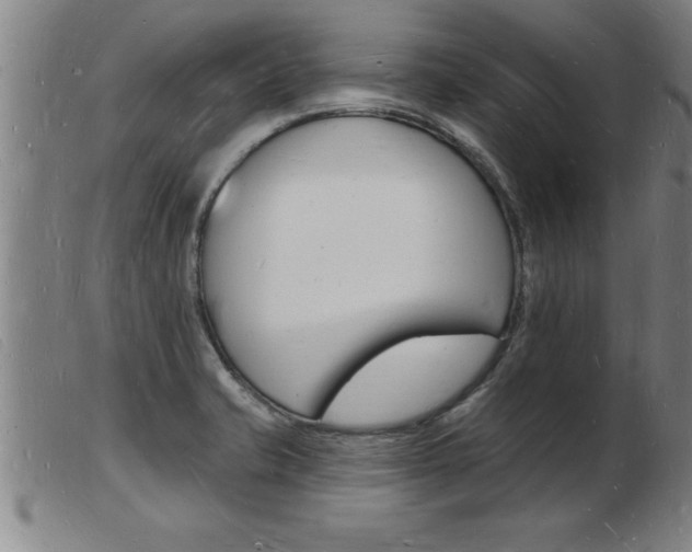 X0000103971421200809191347