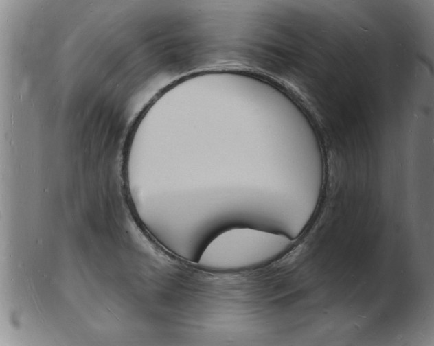 X0000103971422200809191347