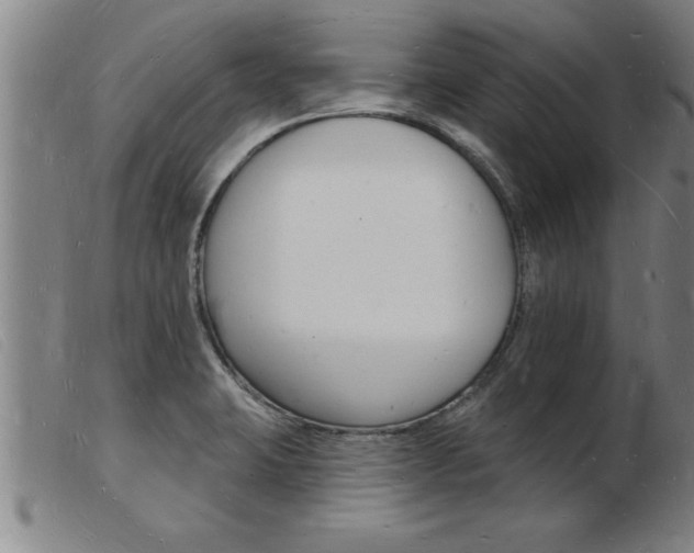 X0000103971423200809191347