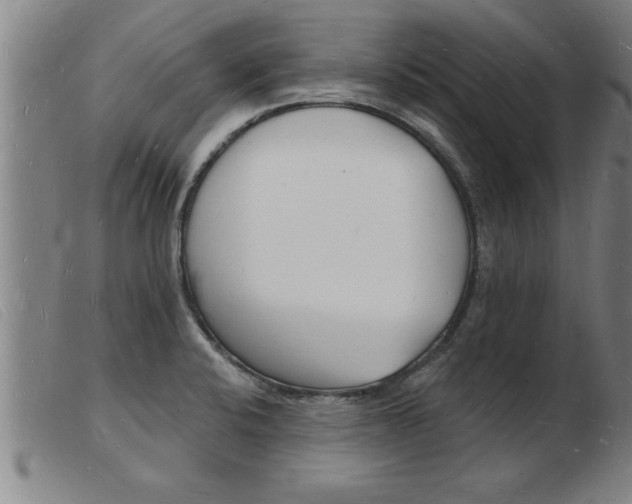 X0000103971424200809191348