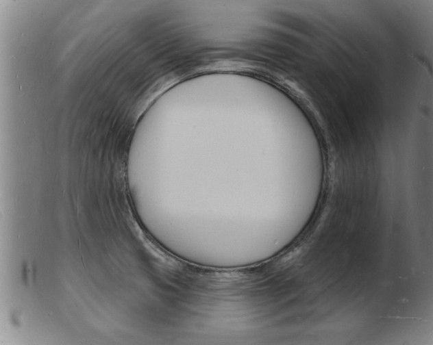 X0000103971425200809191348